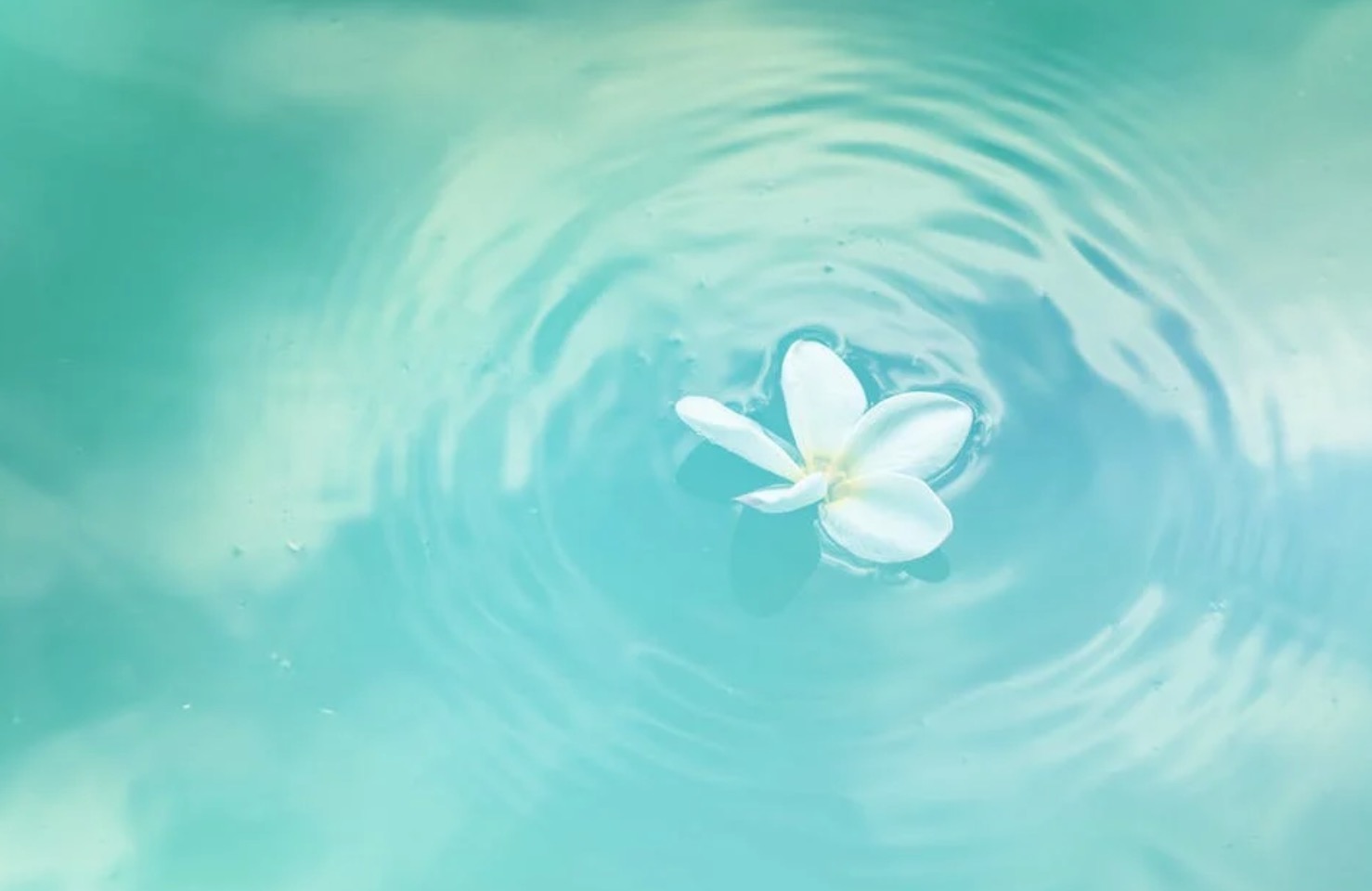 回眸與展望｜2021年水務行業(yè)何去何從？