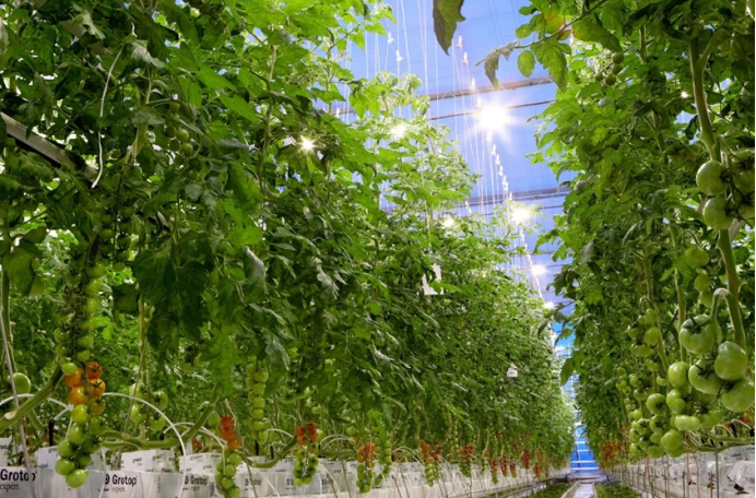 智慧灌溉控制系統(tǒng) 促進(jìn)農(nóng)業(yè)智慧化現(xiàn)代化(圖2) 智慧灌溉控制系統(tǒng) 促進(jìn)農(nóng)業(yè)智慧化現(xiàn)代化(圖2)