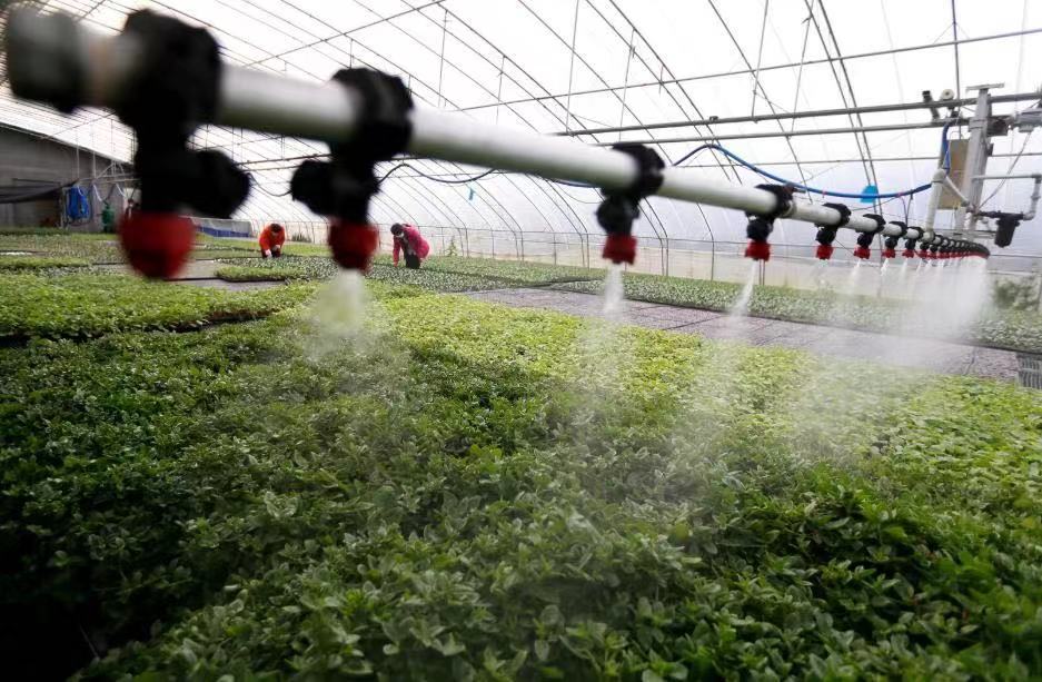 四川大棚智能節(jié)水灌溉系統(tǒng) 智能節(jié)水灌溉系統(tǒng)由什么組成(圖2) 四川大棚智能節(jié)水灌溉系統(tǒng) 智能節(jié)水灌溉系統(tǒng)由什么組成(圖2)